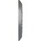 Ekena Millwork Carlsbad Ceiling Medallion (Fits Canopies up to 14 1/4"), Hand-Painted Platinum, 19 1/2"OD x 1 3/4"P CM19CAPLS - alternate 3